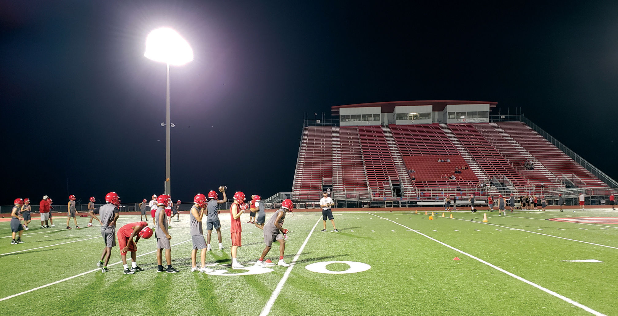 Lions under the lights